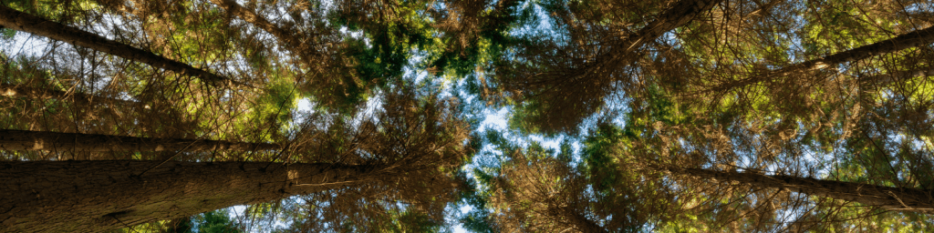 Environmental, Social and Governance (ESG) approach at Rise High Financial Solutions